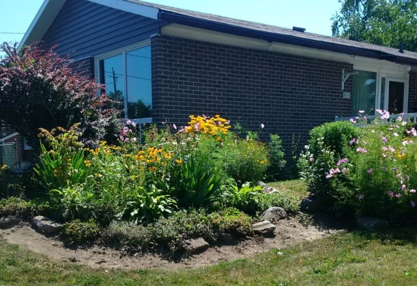Wildflower Garden at our Respite Location Wildflower Garden at our Respite Location<br />